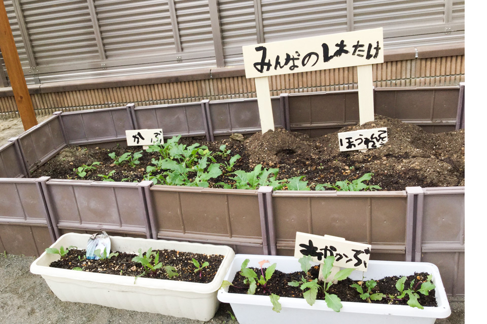 食農活動