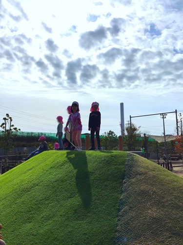 16_2024_20163.jpg
