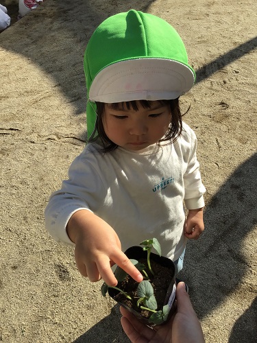うさぎ 5月ブログ写真.jpg