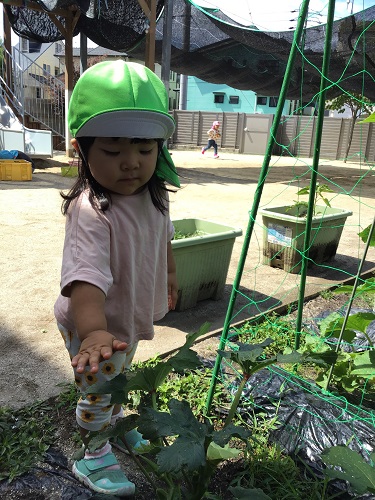 うさぎ６月ブログ写真.jpg
