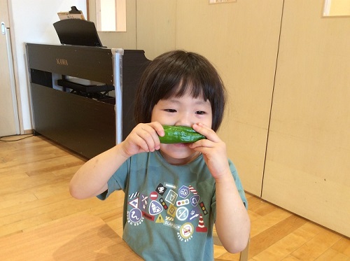 きりん6月ブログ写真.jpg