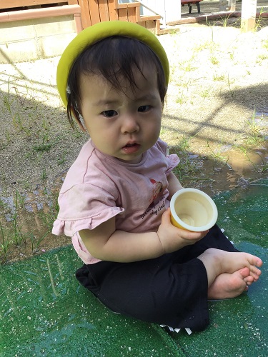 ひよこ.jpg