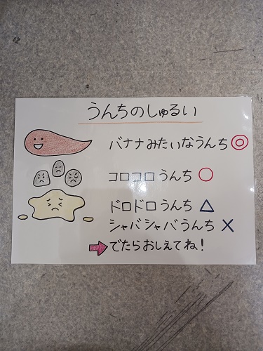 種類.jpg