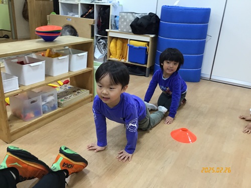 46dfa8ff-bd55-4027-a37d-d746bbaa6dab.jpg