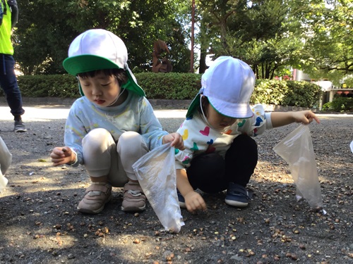 ☆　おはな　どんぐり.jpg