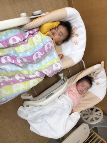 ルクミー写真.jpg