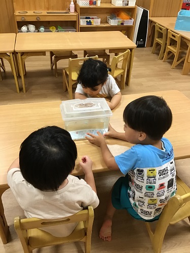 魚.JPG