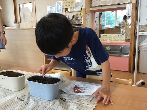 種撒き.JPG
