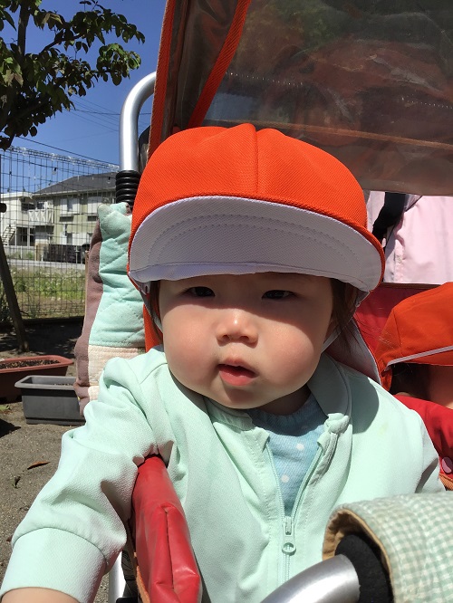 ひよこ　１.jpg
