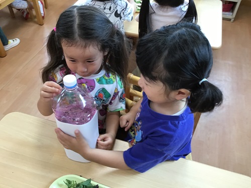 こあら　しその食育.jpg