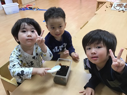 うさぎ　幼虫観察.jpg