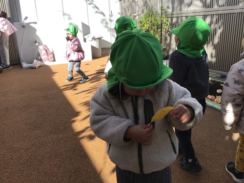 うさぎ　園庭で葉っぱを見つけたよ.jpg