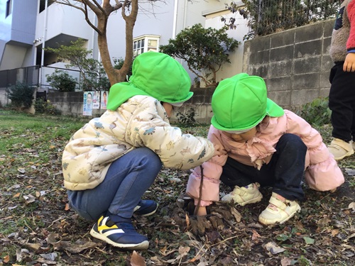 うさぎ　北谷町緑道.jpg