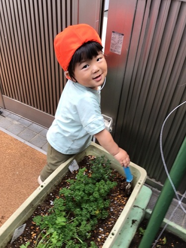こあら　園庭遊び②.jpg