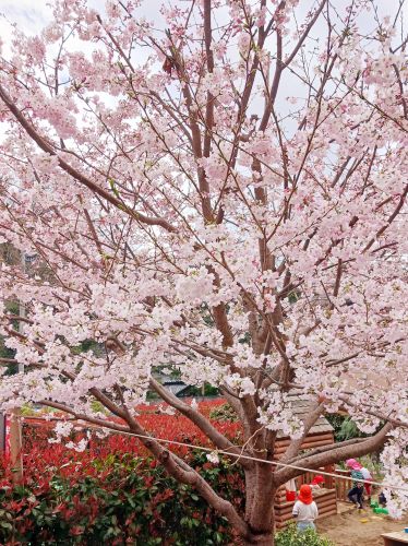 ４月②.jpg