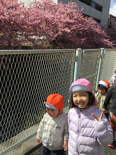 川沿いの桜.JPG