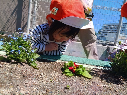 20250416_102711.jpg