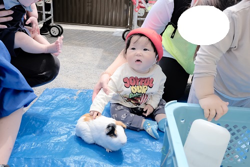 DSCF7794.JPG