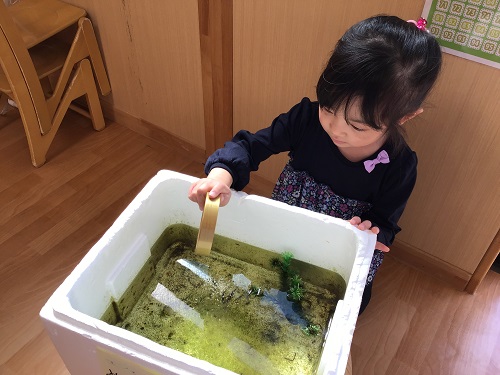 4月2回目①.JPG