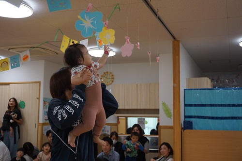 こすもす2.JPG