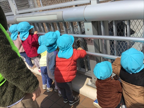 写真3.jpg