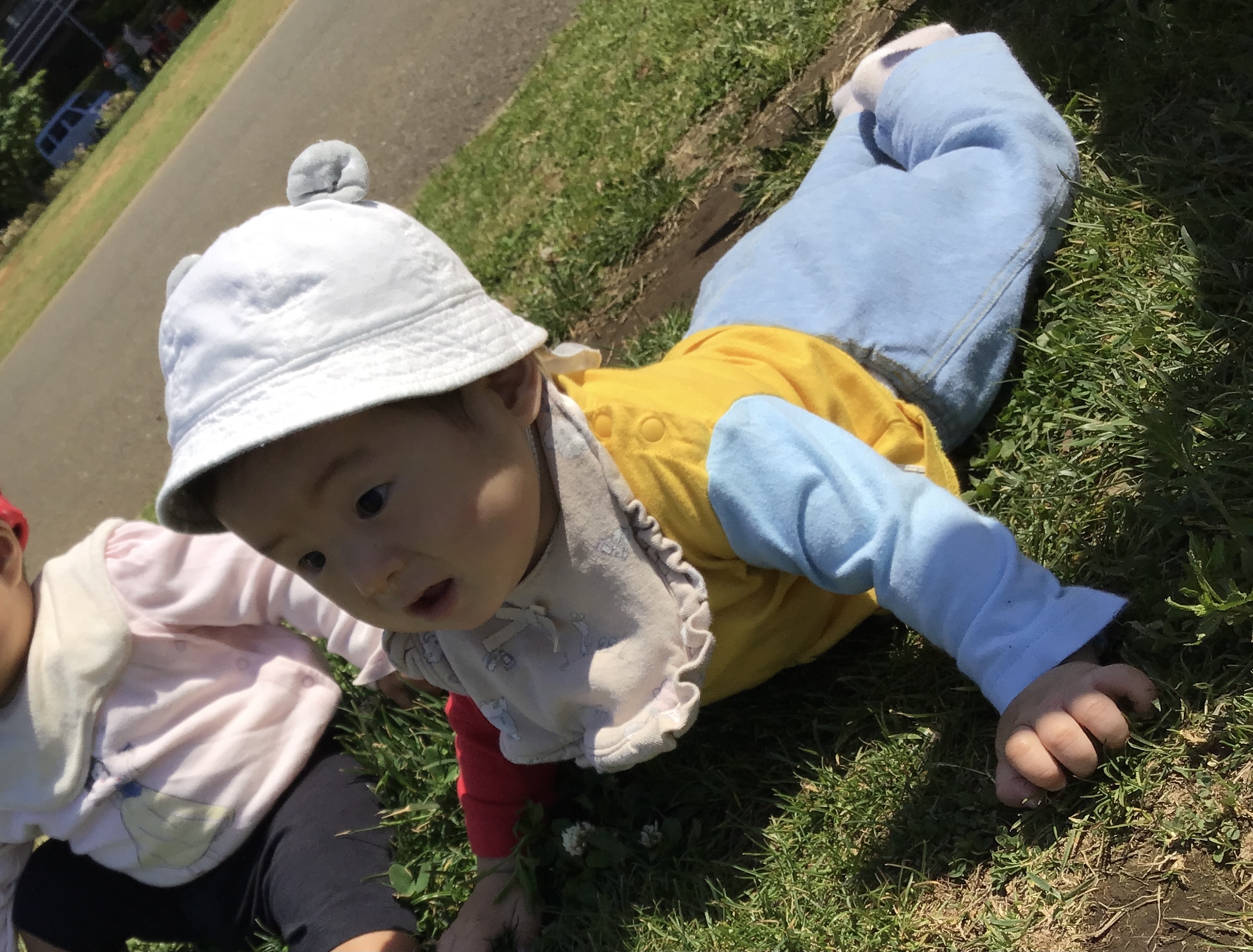 ひよこ　芝生の上で遊んだよ！不思議な感触だね。.JPG