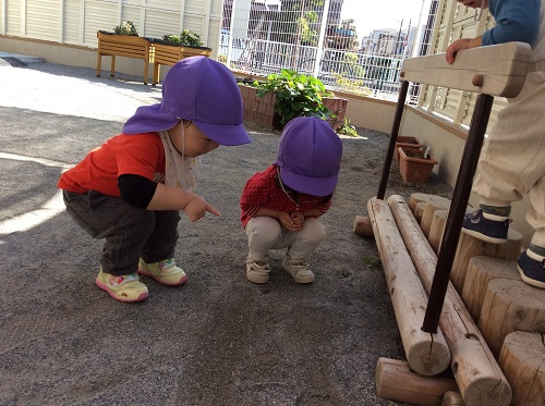 はな２.JPG