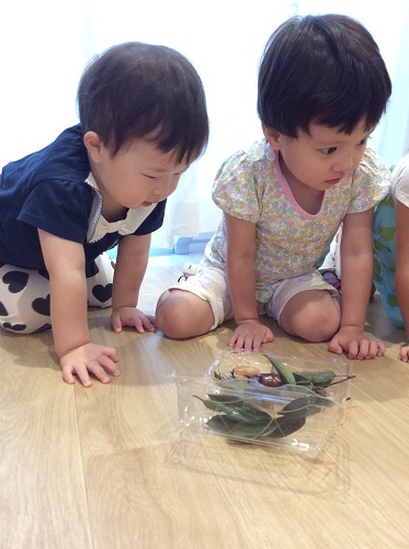 ほし　7月24.JPG