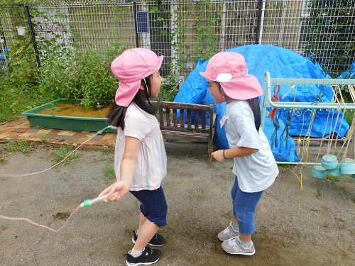 ぞう.JPG