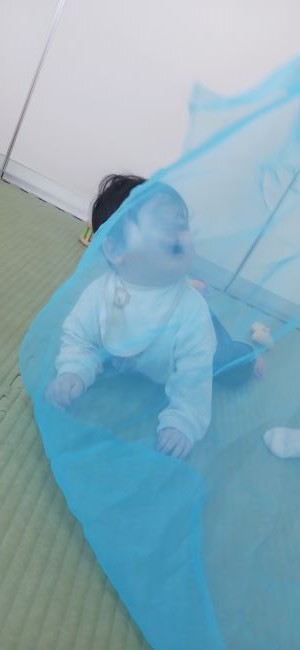 20250430_093652.jpg