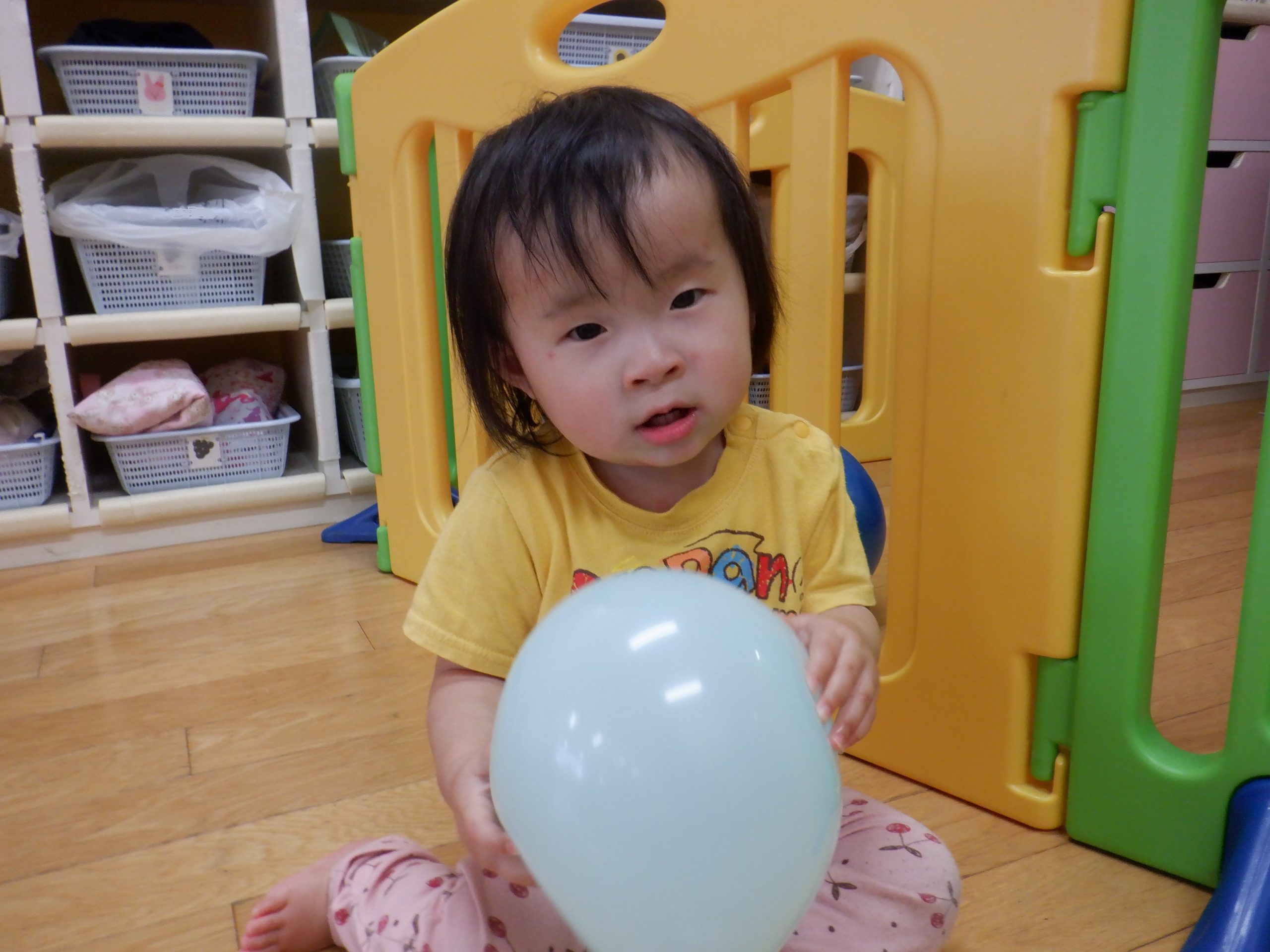 DSCF0135 - コピー.JPG