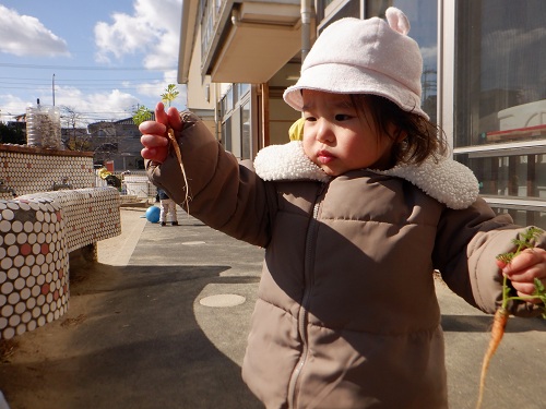 DSCF0049 - コピー.JPG