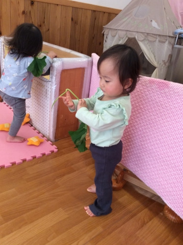 ひよこ2.JPG