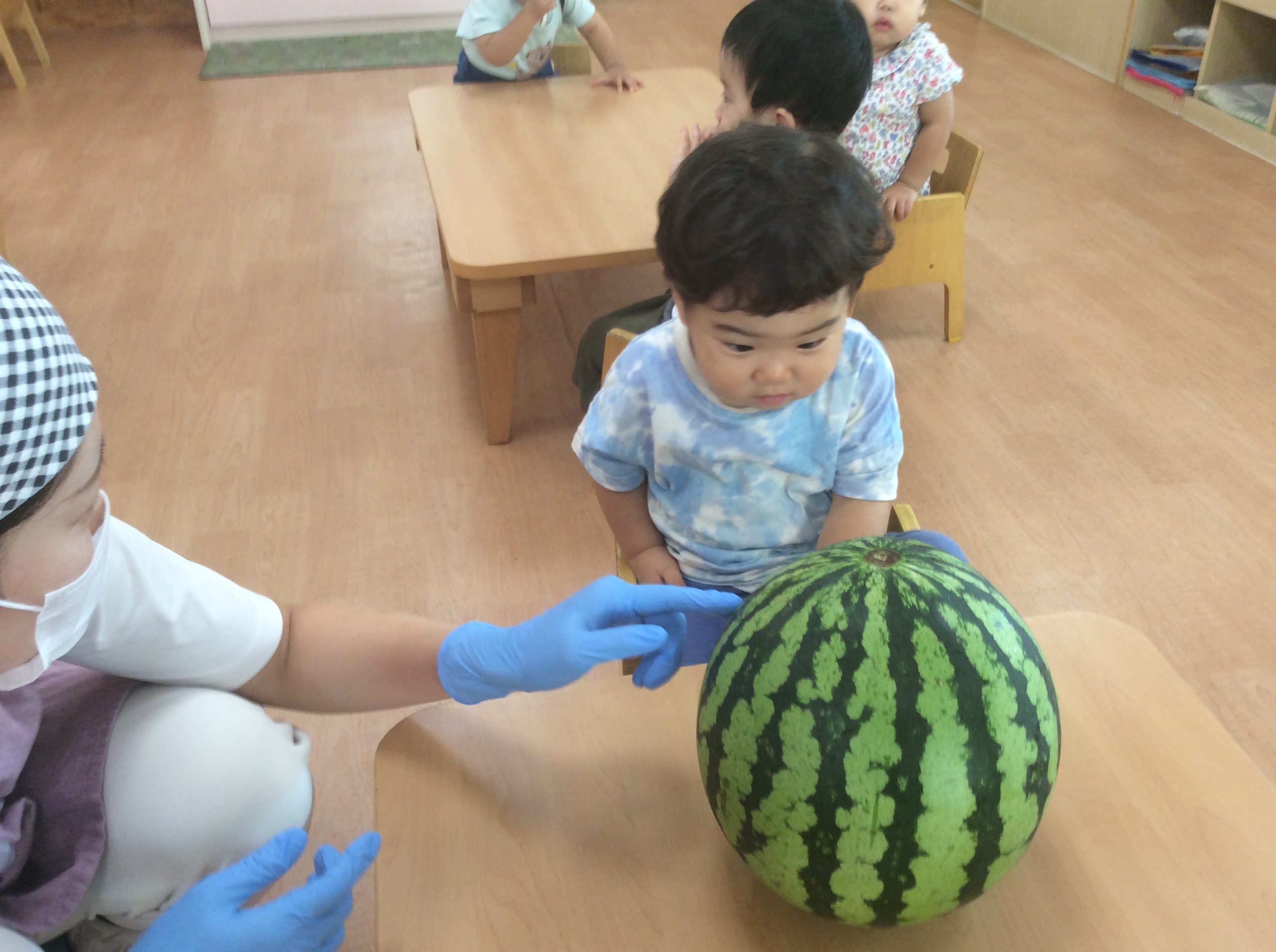 2024_11164.jpg