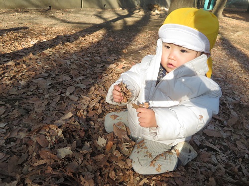 1、ひよこ・公園.jpg