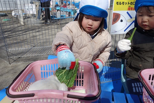 ばんび.jpg