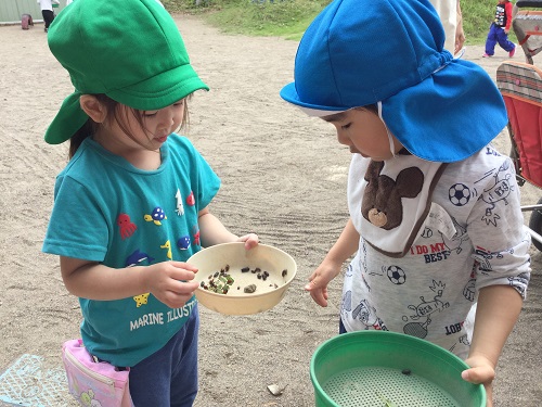 あおぞら (1).JPG