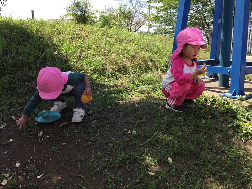 ひまわり (4).JPG