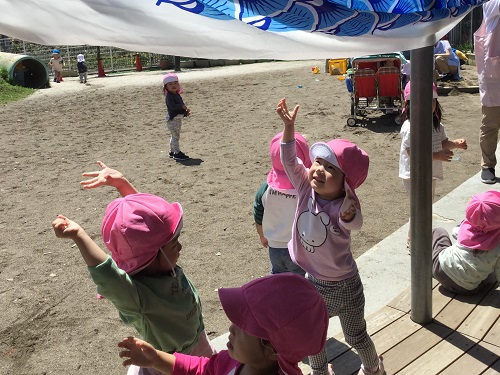 ひまわり (5).JPG