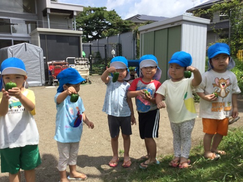 にじ (8).JPG