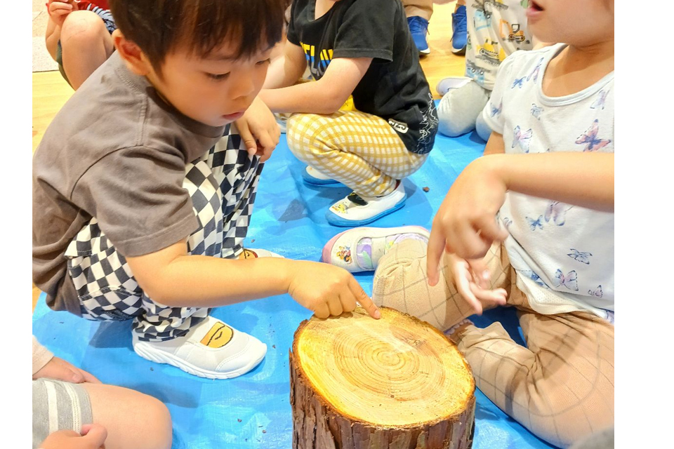 自然探求プログラム