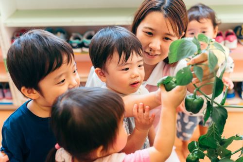野菜①.jpg