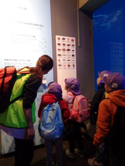 水族館.JPG
