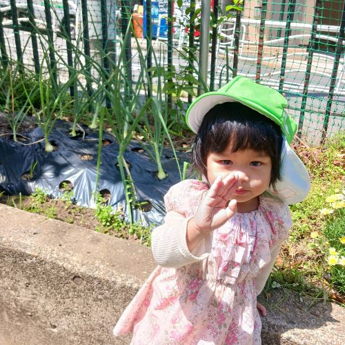 園庭1.jpg