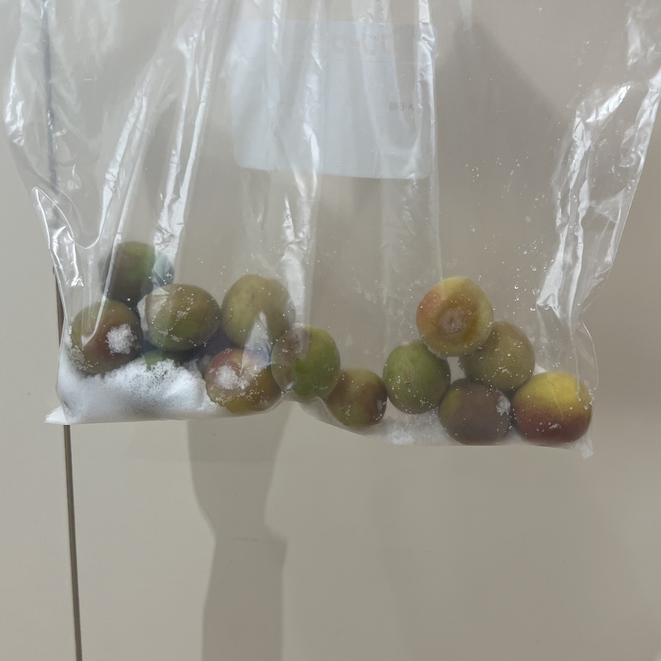 image_50428673.JPG