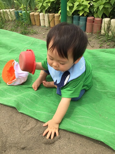 すみれ③.jpg