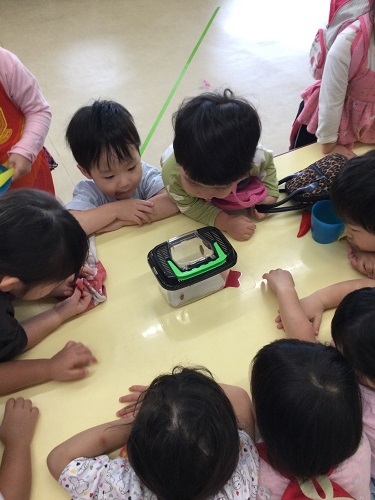 観察２.jpg