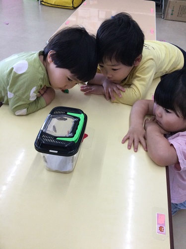 観察３.jpg