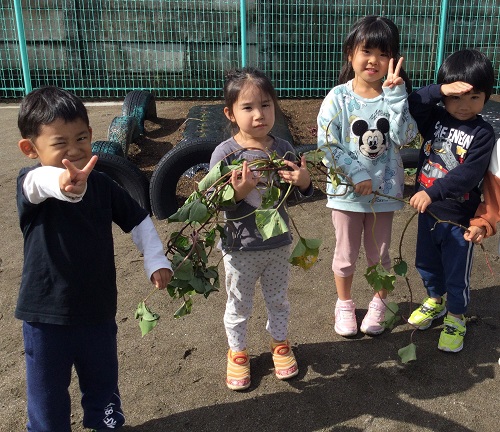 ひばり (3).jpg