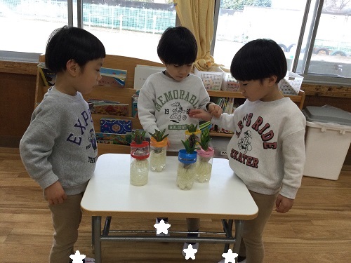 ひばり (1).jpg